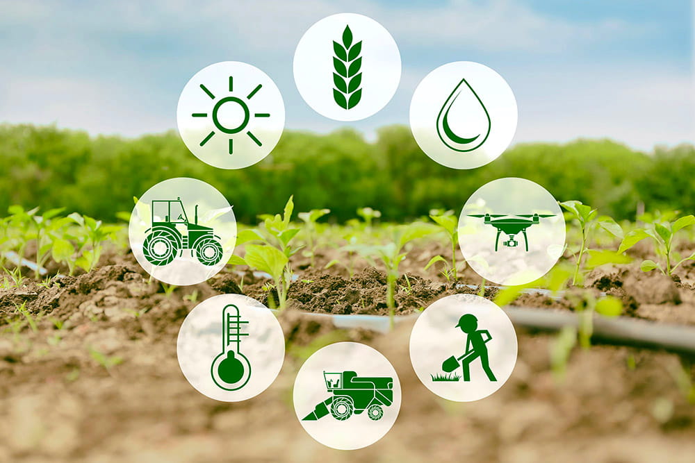 IoT in agriculture