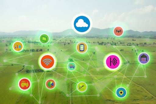 IoT in Agriculture: Optimizing Operations through Smart Connectivity
